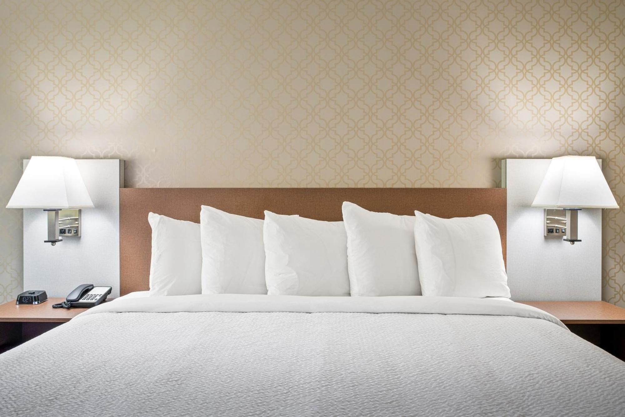 Deluxe King Room,1544845219:JPEG