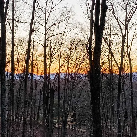 Mountain Retreat Nesteled In The Virginia Foothills-2