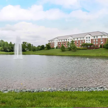 Hilton Garden Inn Charlottesville-3